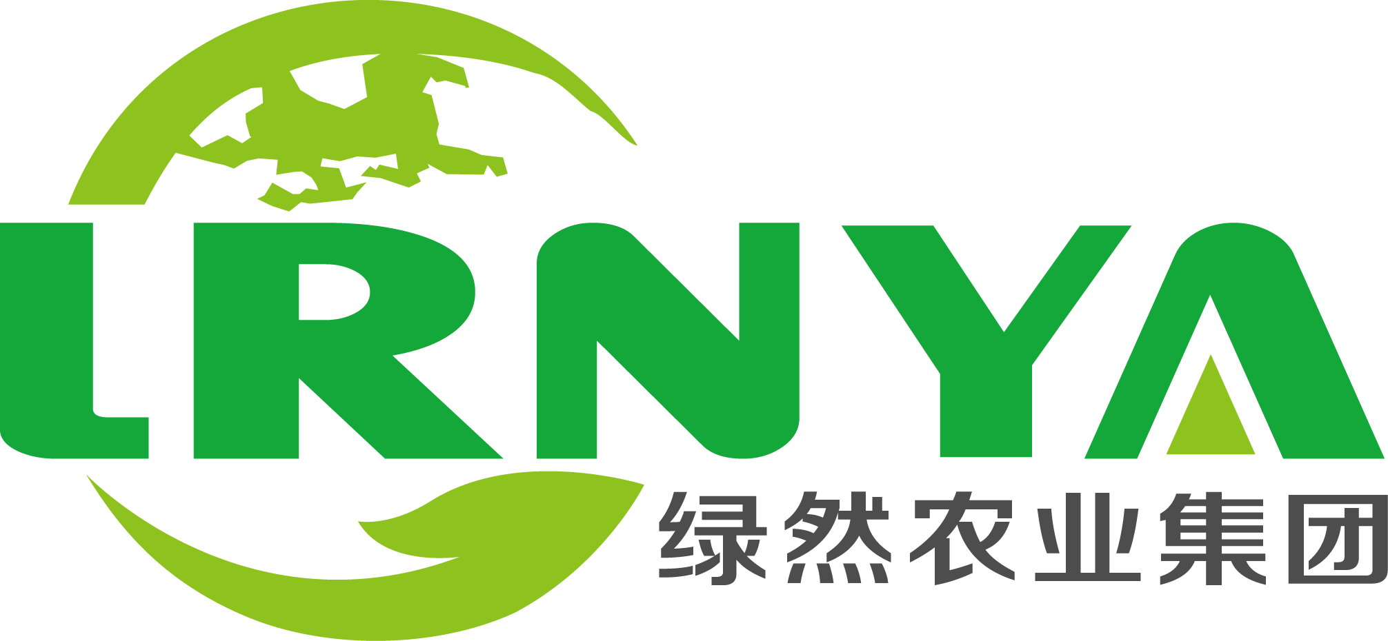 开云手机站登录入口有限公司官网